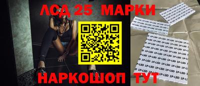 гидропоника Новодвинск