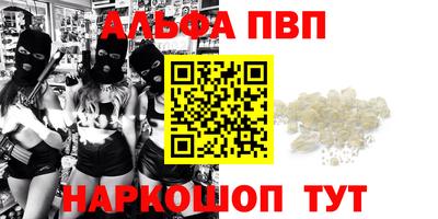 молекула духа Новозыбков