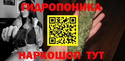гидропоника Новодвинск