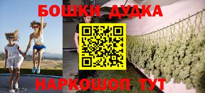 молекула духа Новозыбков