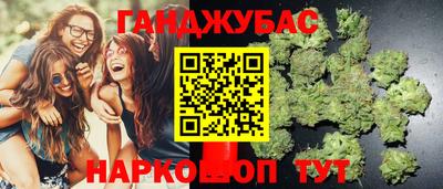 молекула духа Новозыбков