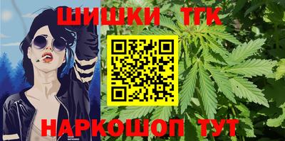 молекула духа Новозыбков