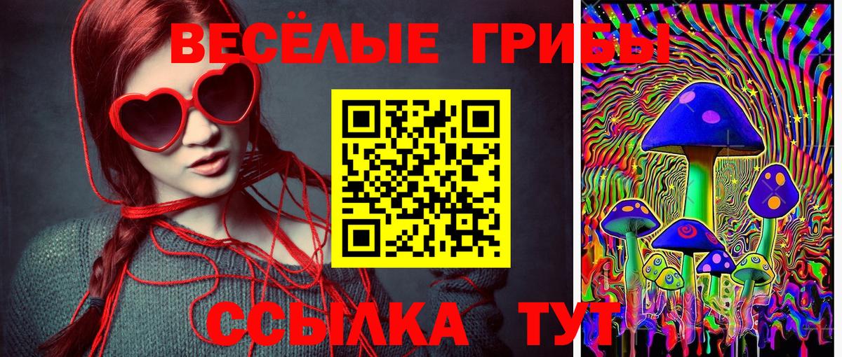 Галлюциногенные грибы MAGIC MUSHROOMS Фролово