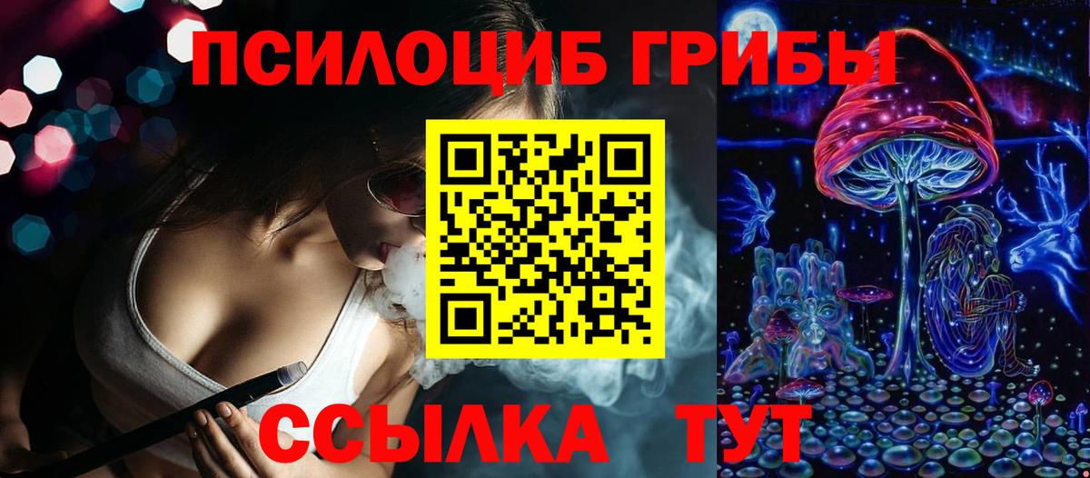 Галлюциногенные грибы Psilocybe  Фролово  Псилоцибиновые грибы мухоморы 