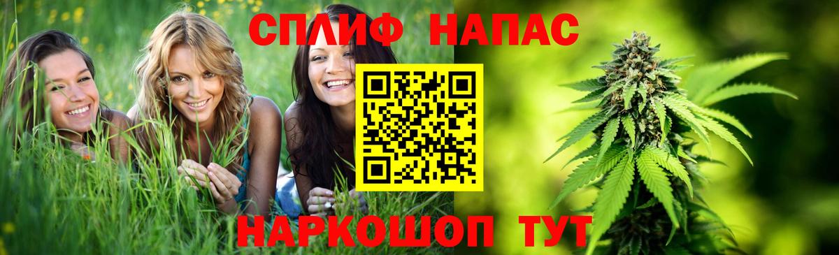 Шишки марихуана планчик Фролово